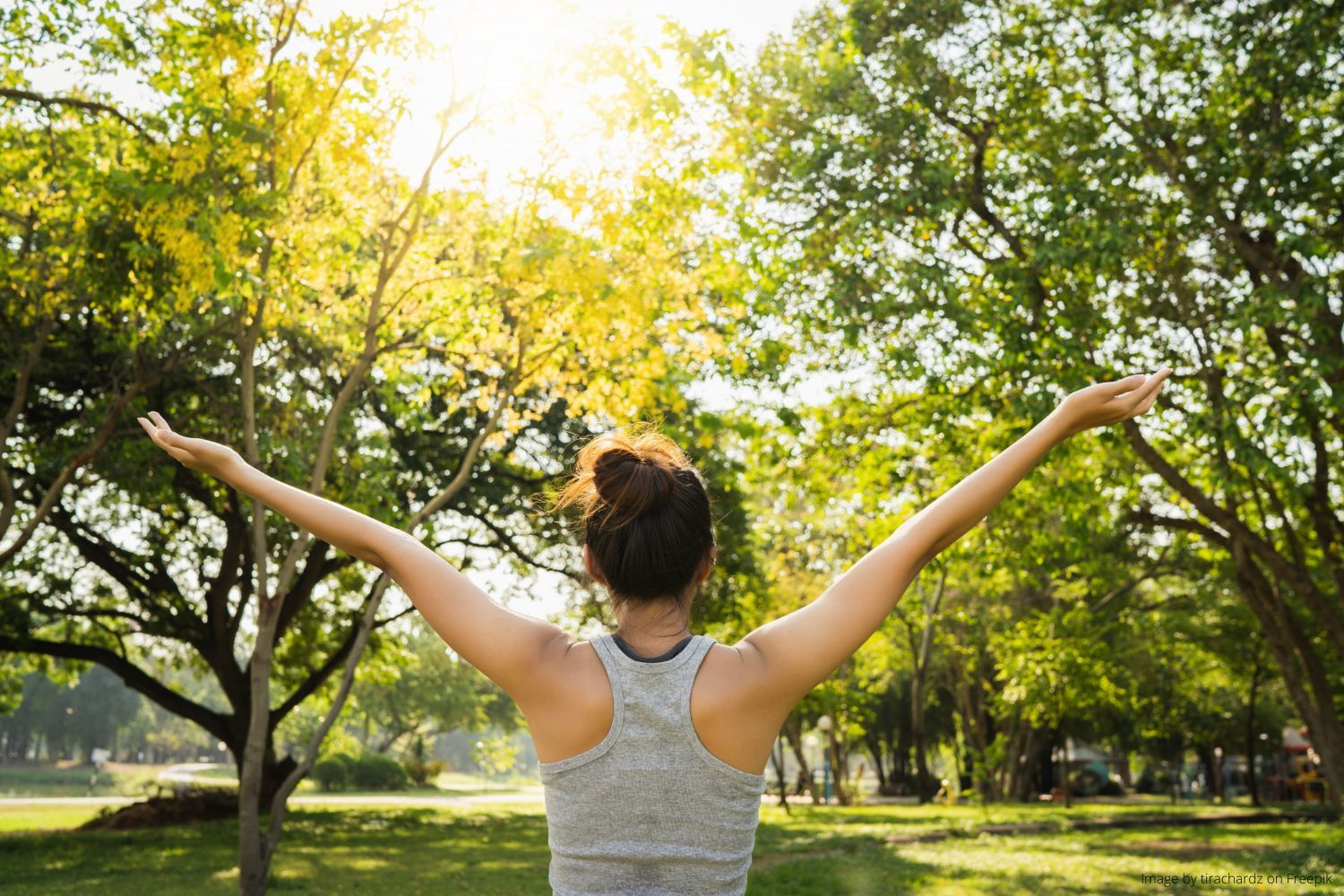 PQQ as an antioxidant to increase the number of mitochondria